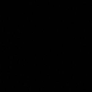 Meet your Posher, Nina